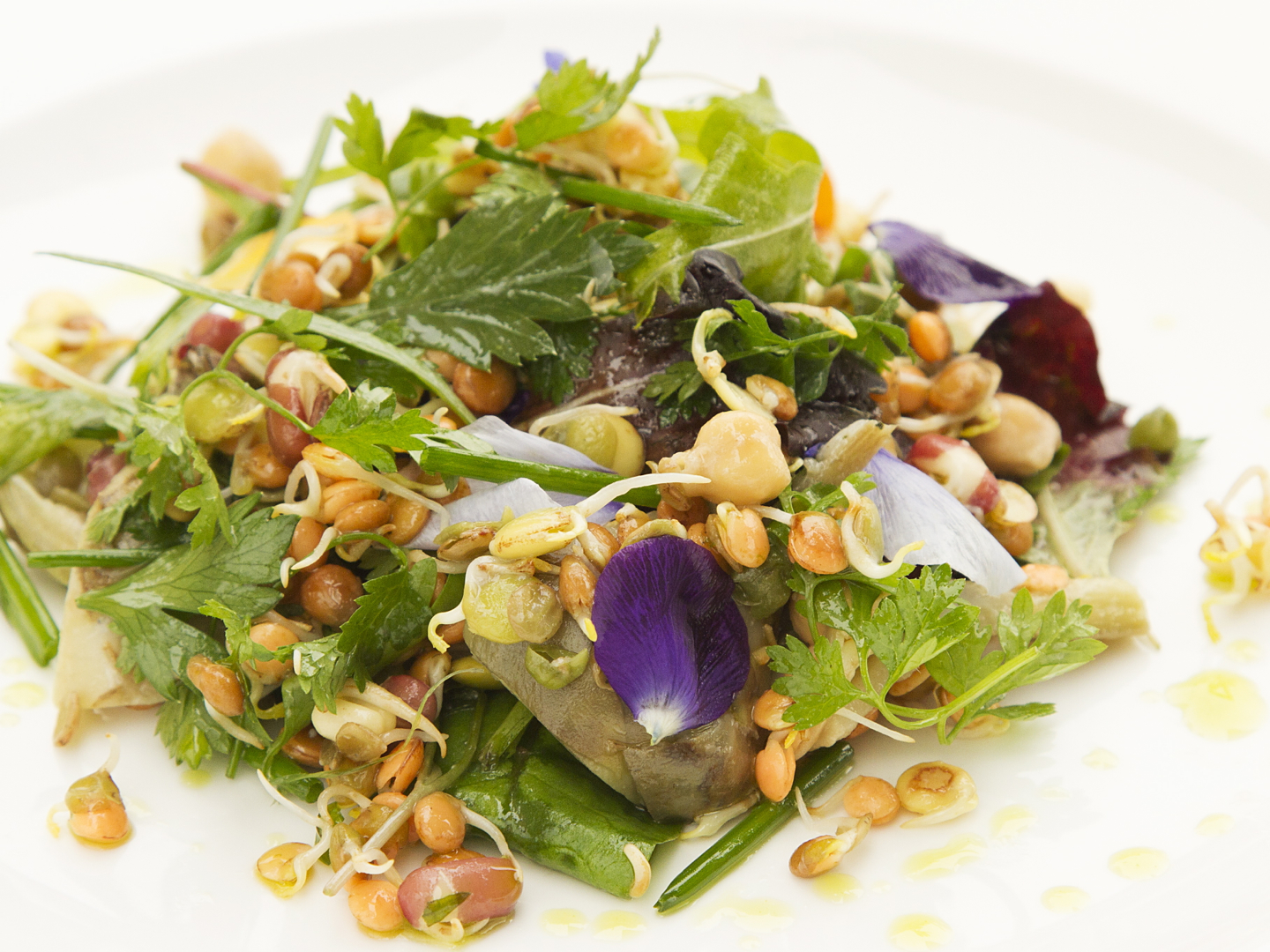 Herb salad with sprouted beans and seeds - Nourish